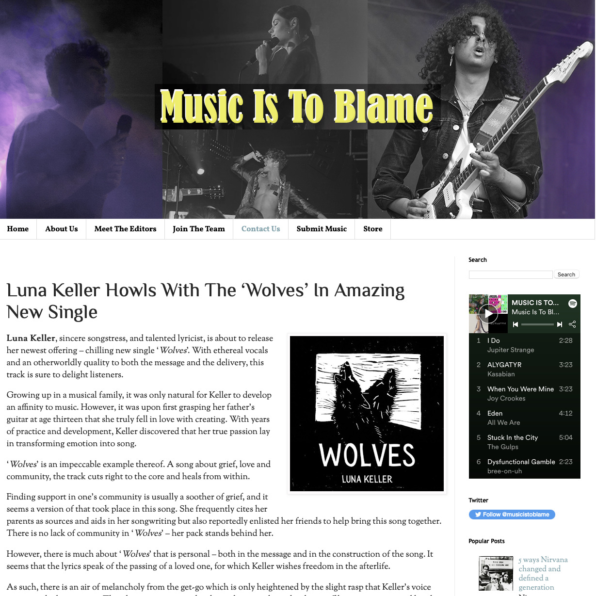 Music is to blame - Luna Keller - Wolves